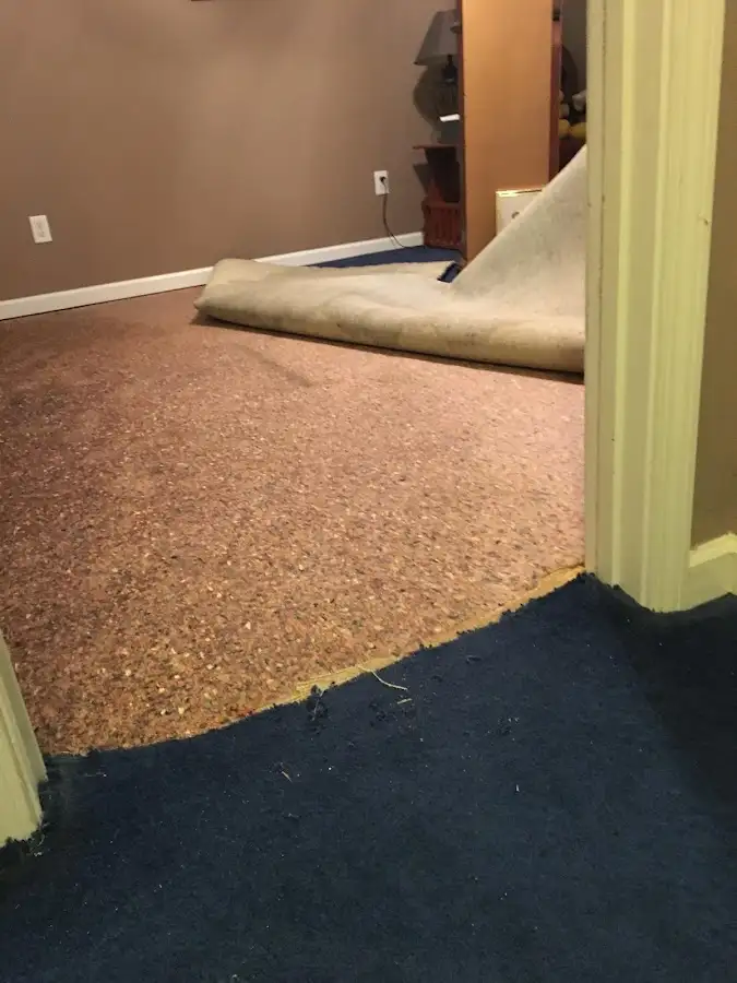 Carpet pad removal revealing water damage during Water Mitigation Services in Dayton